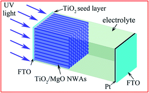 Graphical abstract: Heterostructured TiO2/MgO nanowire arrays for self-powered UV photodetectors