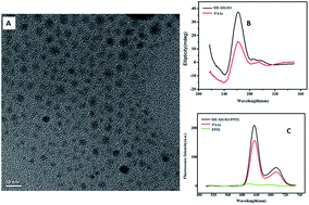 Graphical abstract: G-quadruplex/protoporphyrin IX-functionalized silver nanoconjugates for targeted cancer cell photodynamic therapy