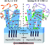 Graphical abstract: New strategy for magnetic gas sensing