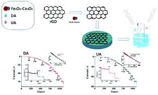 Graphical abstract: Highly sensitive biosensor based on the synergistic effect of Fe3O4–Co3O4 bimetallic oxides and graphene