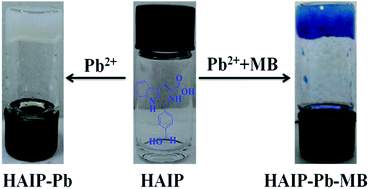 Graphical abstract: Pb2+-specific metallohydrogel based on tryptophan-derivatives: preparation, characterization, multi-stimuli responsiveness and potential applications in wastewater and soil treatment