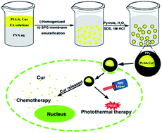 Graphical abstract: Polypyrrole coated PLGA core–shell nanoparticles for drug delivery and photothermal therapy