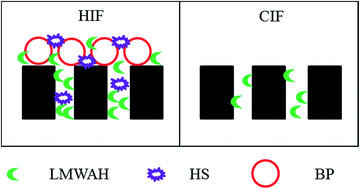 Graphical abstract: Microfiltration process for surface water treatment: irreversible fouling identification and chemical cleaning