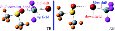 Graphical abstract: Comparison of tetrel bonds and halogen bonds in complexes of DMSO with ZF3X (Z = C and Si; X = halogen)