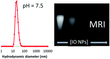 Graphical abstract: Optimizing the silanization of thermally-decomposed iron oxide nanoparticles for efficient aqueous phase transfer and MRI applications