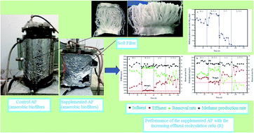 Graphical abstract: Effect of effluent recirculation rate on the performance of anaerobic bio-filter treating coal gasification wastewater under co-digestion conditions