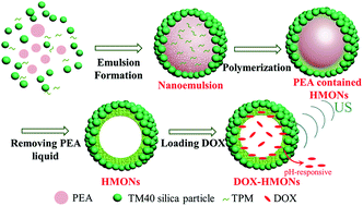 Graphical abstract: Theranostic hollow/mesoporous organosilica nanospheres enhance the therapeutic efficacy of anticancer drugs in metastatic hormone-resistant prostate cancer