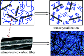 Graphical abstract: A comparative study of the crystalline structure and mechanical properties of carbon fiber/polyamide 6 composites enhanced with/without silane treatment