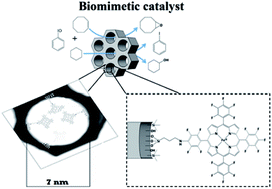 Graphical abstract: Hydrocarbon oxidation by iron-porphyrin immobilized on SBA-15 as biomimetic catalyst: role of silica surface