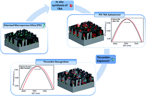 Graphical abstract: Solid phase synthesis of a thrombin binding aptamer on macroporous silica for label free optical quantification of thrombin