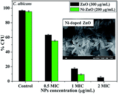 Graphical abstract: Enhanced antifungal activity of Ni-doped ZnO nanostructures under dark conditions