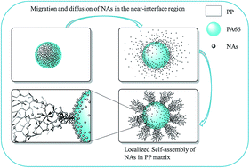 Graphical abstract: Localized self-assembly and nucleation: a new strategy for preparing highly toughened polymer blends