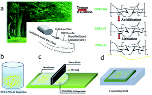 Graphical abstract: Eco-friendly polyvinyl alcohol/cellulose nanofiber–Li+ composite separator for high-performance lithium-ion batteries