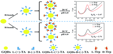 Graphical abstract: An efficient chiral sensing platform based on graphene quantum dot–tartaric acid hybrids