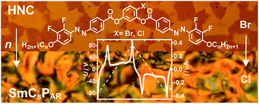 Graphical abstract: Mirror symmetry breaking in fluorinated bent-core mesogens