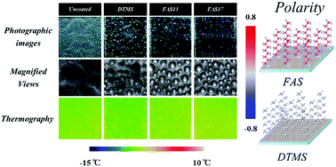 Graphical abstract: A superrepellent coating with dynamic fluorine chains for frosting suppression: effects of polarity, coalescence and ice nucleation free energy barrier