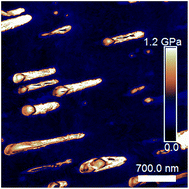 Graphical abstract: Probing nanomechanical properties with AFM to understand the structure and behavior of polymer blends compatibilized with ionic liquids