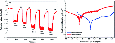 Graphical abstract: Comparison of tribocorrosion behavior between 304 austenitic and 410 martensitic stainless steels in artificial seawater
