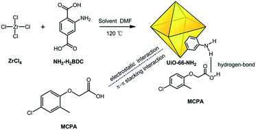 Graphical abstract: Fast adsorption and removal of 2-methyl-4-chlorophenoxy acetic acid from aqueous solution with amine functionalized zirconium metal–organic framework