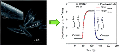 Graphical abstract: Kinetic analysis of low concentration CO detection by Au-loaded cerium oxide sensors