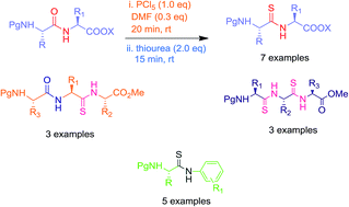 Graphical abstract: Thionation of di and tripeptides employing thiourea as a sulphur transfer reagent