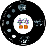 Graphical abstract: Dendrimer-functionalized LAPONITE® nanodisks loaded with gadolinium for T1-weighted MR imaging applications