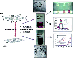 Graphical abstract: 3-Aminopropyltrimethoxysilane and graphene oxide/reduced graphene oxide-induced generation of gold nanoparticles and their nanocomposites: electrocatalytic and kinetic activity