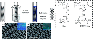 Graphical abstract: Fabrication of PAM/PMAA inverse opal photonic crystal hydrogels by a “sandwich” method and their pH and solvent responses