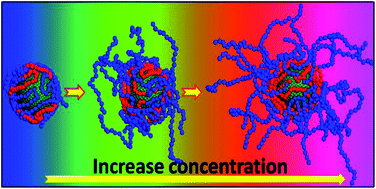 Graphical abstract: Concentration-induced structural transition of block polymer self-assemblies on a nanoparticle surface: computer simulation