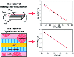 Graphical abstract: Transcrystallization of poly(l-lactic acid) on the surface of reduced graphene oxide fibers