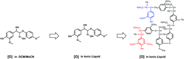Graphical abstract: A comparison of the oxidation of lignin model compounds in conventional and ionic liquid solvents and application to the oxidation of lignin