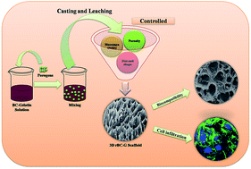 Graphical abstract: Three-dimensionally microporous and highly biocompatible bacterial cellulose–gelatin composite scaffolds for tissue engineering applications