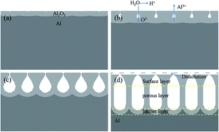 Graphical abstract: Novel structured anodic oxide films containing surface layers and porous sublayers showing excellent wear resistance performance