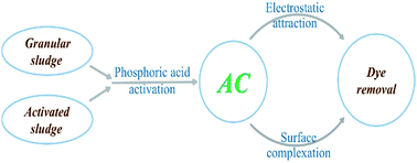 Graphical abstract: A comparison of the influence of flocculent and granular structure of sludge on activated carbon: preparation, characterization and application