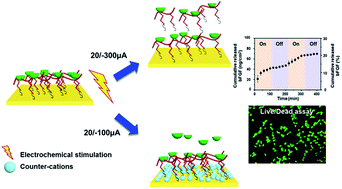 Graphical abstract: Heparin-immobilized gold-assisted controlled release of growth factors via electrochemical modulation