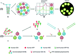 Graphical abstract: Simultaneous and combined detection of multiple tumor markers for cancer screening in human serum by an upgraded photonic crystal-encoded suspension array