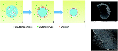 Graphical abstract: One-step fabrication of silica colloidosomes with in situ drug encapsulation