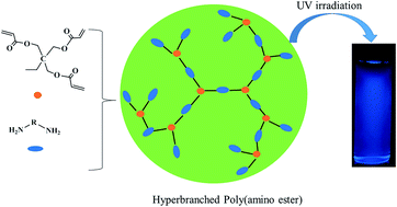 Graphical abstract: Facile one-pot synthesis of novel water-soluble fluorescent hyperbranched poly(amino esters)