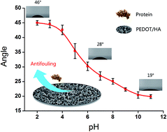 Graphical abstract: An antifouling electrochemical immunosensor for carcinoembryonic antigen based on hyaluronic acid doped conducting polymer PEDOT