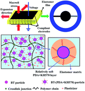 Graphical abstract: Dopamine and silane functionalized barium titanate with improved electromechanical properties for silicone dielectric elastomers