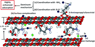 Graphical abstract: Enhancing the adsorption behavior and mechanism of Sr(ii) by functionalized montmorillonite with different 3-aminopropyltriethoxysilane (APTES) ratios