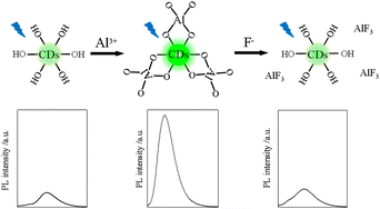 Graphical abstract: Highly selective and sensitive sensing for Al3+ and F− based on green photoluminescent carbon dots