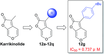 Graphical abstract: Discovery of cytochrome bc1 complex inhibitors inspired by the natural product karrikinolide