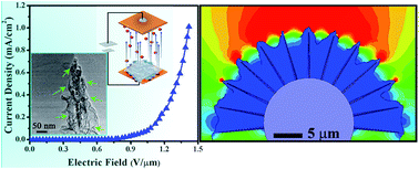 Graphical abstract: RGO enveloped vertically aligned Co3O4 nanowires on carbon fabric: a highly efficient prototype for flexible field emitter arrays