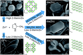 Graphical abstract: Polymorphism/pseudopolymorphism of metal–organic frameworks composed of zinc(ii) and 2-methylimidazole: synthesis, stability, and application in gas storage