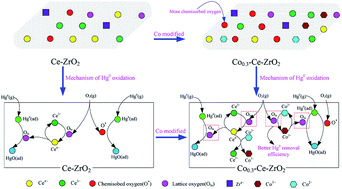 Graphical abstract: The adsorption and catalytic oxidation of the element mercury over cobalt modified Ce–ZrO2 catalyst