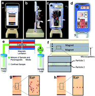 Graphical abstract: Smart-phone attachable, flow-assisted magnetic focusing device