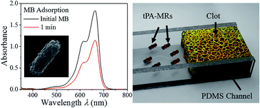 Graphical abstract: Multifunctional iron oxide–carbon hybrid microrods