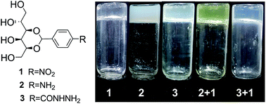 Graphical abstract: Tunable self-assembly of two-component gels from novel sorbitol-appended compounds