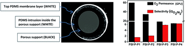 Graphical abstract: Preparation and characterization of an oxygen permselective polydimethylsiloxane hollow fibre membrane